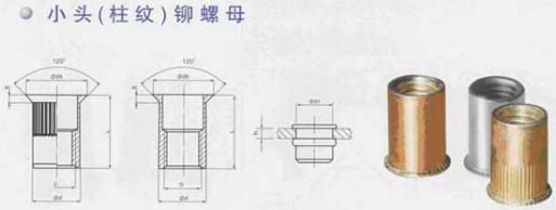 С���^���T��ĸ