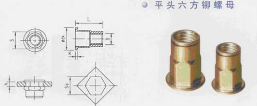 ���������T��ĸ